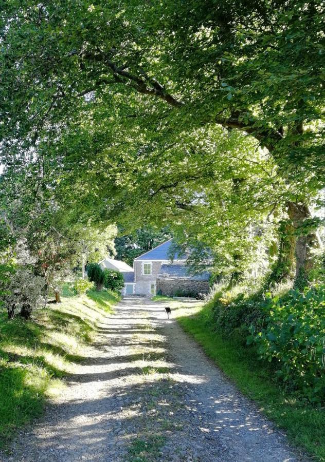 Cornwall, Looe - Magical Pendriffey Pelynt Luaran gambar