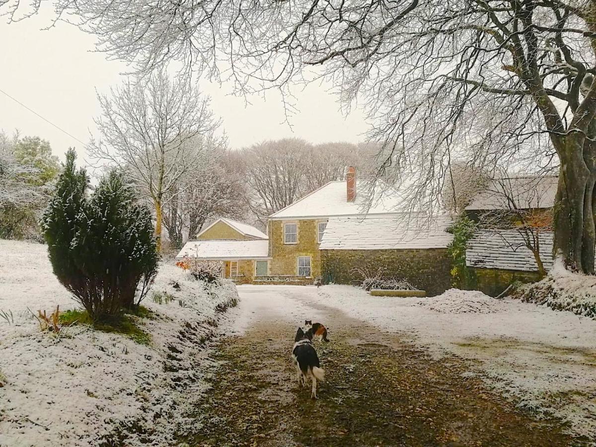 Cornwall, Looe - Magical Pendriffey Pelynt Luaran gambar