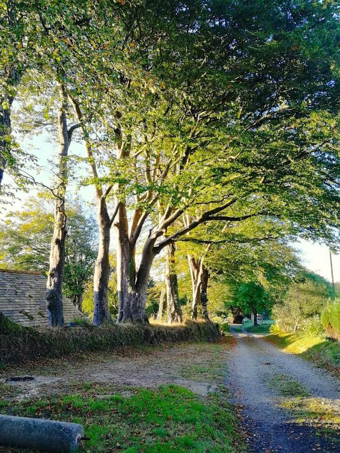 Cornwall, Looe - Magical Pendriffey Pelynt Luaran gambar